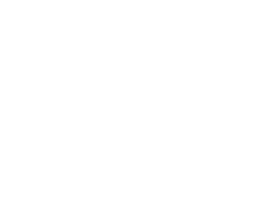 The Phonics Nest logo white